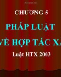 Bài giảng - Chương 5: Pháp luật về hợp tác xã