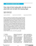 Các nhân tố ảnh hưởng đến vốn đầu tư cho phát triển kinh tế biển tỉnh Quảng Ngãi