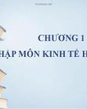 Bài giảng Nhập môn Kinh tế học vĩ mô