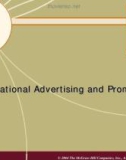 Chapter 20: International Advertising and Promotion