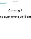 Bài giảng Phân tích và Thiết kế tổ chức: Chương I - ThS. Phan Anh Hồng