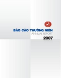 Báo cáo Kinh tế Việt Nam năm 2007