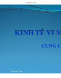 Bài giảng Kinh tế vi mô: Bài 1 - Huỳnh Văn Thịnh