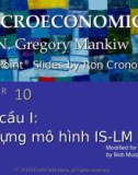 Bài giảng Kinh tế vĩ mô: Chương 10 - N. Gregory Mankiw