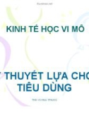 Bài giảng Kinh tế học vi mô: Chương 4 - ThS. Võ Hữu Phước