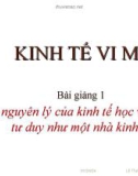 Bài giảng Kinh tế vi mô: Chương 1 - Lê Phương