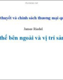 Bài giảng Lý thuyết và chính sách thương mại quốc tế: Lợi thế bên ngoài và vị trí sản xuất