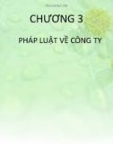 Bài giảng Luật kinh tế - Chương 3: Pháp luật về công ty