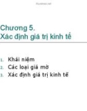 Bài giảng Phân tích kinh tế dự án: Chương 5 - GV. Phạm Lê Thông