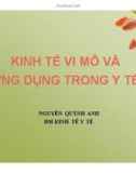 Bài giảng Kinh tế vi mô và ứng dụng trong y tế - Nguyễn Quỳnh Anh