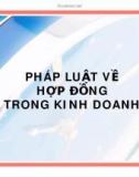 PHÁP LUẬT VỀ HỢP ĐỒNG TRONG KINH DOANH