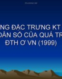 Thuyết trình: Đặc trưng kinh tế - xã hội và dân số của quá trình đô thị hóa ở Việt Nam (1999)