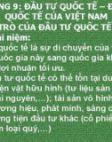 Bài giảng Quan hệ kinh tế quốc tế - Chương 9: Đầu tư quốc tế – Đầu tư quốc tế của Việt Nam