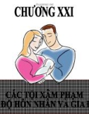 Bài giảng Các tội xâm phạm chế độ hôn nhân và gia đình