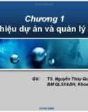 Bài giảng Quản lý dự án: Chương 1 - TS. Nguyễn Thúy Quỳnh Loan