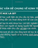 Bài giảng Kinh tế học - Chương 1: Các vấn đề chung về kinh tế học