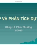 Bài giảng Lập và phân tích dự án: Chương 1 - Lê Hoàng Cẩm Phương