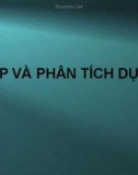 Lập và phân tích dự án