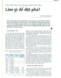 Thu hút FDI vào thành phố Cần Thơ: Làm gì để đột phá?