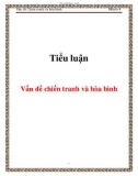 Tiểu luận: Vấn đề chiến tranh và hòa bình