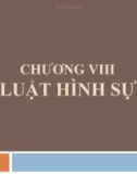 Bài giảng Nhà nước và pháp luật đại cương - Chương 8: Luật hình sự (Lương Thanh Bình)