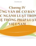 Bài giảng Nhà nước và pháp luật đại cương: Chương 4.3 - Học viện ngân hàng