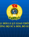 CÂU HỎI LUẬT GIAO THÔNG ĐƯỜNG BỘ SỬA ĐỔI, BỔ SUNG