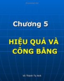 Bài giảng Chương 5: Hiệu quả và công bằng - Vũ Thành Tự Anh