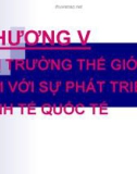 Bài giảng Kinh tế quốc tế - Chương 5