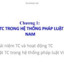 Bài giảng Chương 1: Luật TC trong hệ thống pháp luật Việt Nam