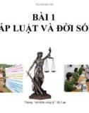 Bài giảng bài 1: Pháp luận Việt Nam