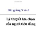 Bài giảng Kinh tế học vi mô dành cho chính sách công: Bài 5 và 6 - Lý thuyết lựa chọn của người tiêu dùng (2021)