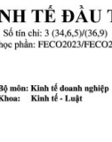 Bài giảng Kinh tế đầu tư - Chương 1: Tổng quan về đầu tư và đầu tư phát triển