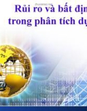 Rủi ro và bất định trong phân tích dự án