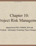 Lecture Information technology project management - Chapter 10: Project risk management