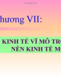 Chương VII: KINH TẾ VĨ MÔ TRONG NỀN KINH TẾ MỞ