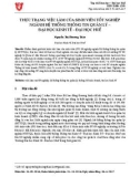 Thực trạng việc làm của sinh viên tốt nghiệp ngành hệ thống thông tin quản lý – Đại học kinh tế – Đại học Huế