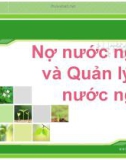 Nợ nước ngoài và Quản lý nợ nước ngoài