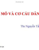 Bài giảng Quy mô và cơ cấu dân số - ThS. Nguyễn Tấn Đạt