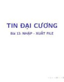 Bài giảng Tin học đại cương: Bài 13 - Bùi Thị Thu Cúc