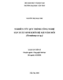 Luận án Tiến sĩ Công nghệ sinh học: Nghiên cứu quy trình công nghệ sản xuất sinh khối hệ sợi nấm mối (Termitomyces sp.)