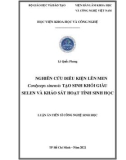 Luận án Tiến sĩ Công nghệ sinh học: Nghiên cứu điều kiện lên men Cordyceps sinensis tạo sinh khối giàu selen và khảo sát hoạt tính sinh học