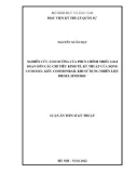 Luận án Tiến sĩ Kỹ thuật: Nghiên cứu ảnh hưởng của phun chính nhiều giai đoạn đến các chỉ tiêu kinh tế, kỹ thuật của động cơ diesel kiểu commonrail khi sử dụng nhiên liệu diesel sinh học