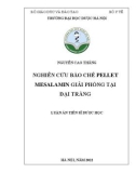 Luận án Tiến sĩ Dược học: Nghiên cứu bào chế pellet mesalamin giải phóng tại đại tràng