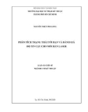 Luận án Tiến sĩ Cơ kỹ thuật: Phân tích trạng thái tới hạn và đánh giá độ tin cậy cho mối hàn laser