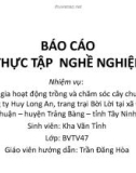 Báo cáo thực tập nghề nghiệp: Tham gia hoạt động trồng và chăm sóc cây chuối tại công ty Huy Long An, trang trại Bời Lời tại xã Đôn Thuận - huyện Trảng Bàng - tỉnh Tây Ninh