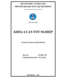 Khóa luận tốt nghiệp: Môi trường biển và ven biển hải phòng thực trạng và đề xuất giải pháp