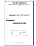 Khóa luận tốt nghiệp: Hoạt động đầu tư tài chính tại một số công ty sản xuất của Việt Nam