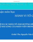 Tiểu luận hành vi tổ chức: Phân tích các nhân tố ảnh hưởng đến mức độ hài lòng của nhân viên trong tổ chức