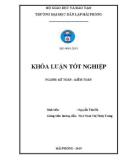 Khóa luận tốt nghiệp ngành Kế toán - Kiểm toán: Hoàn thiện công tác kế toán hàng hóa tại Công ty TNHH Thương Mại Và Dịch Vụ Điện máy Dương Vương